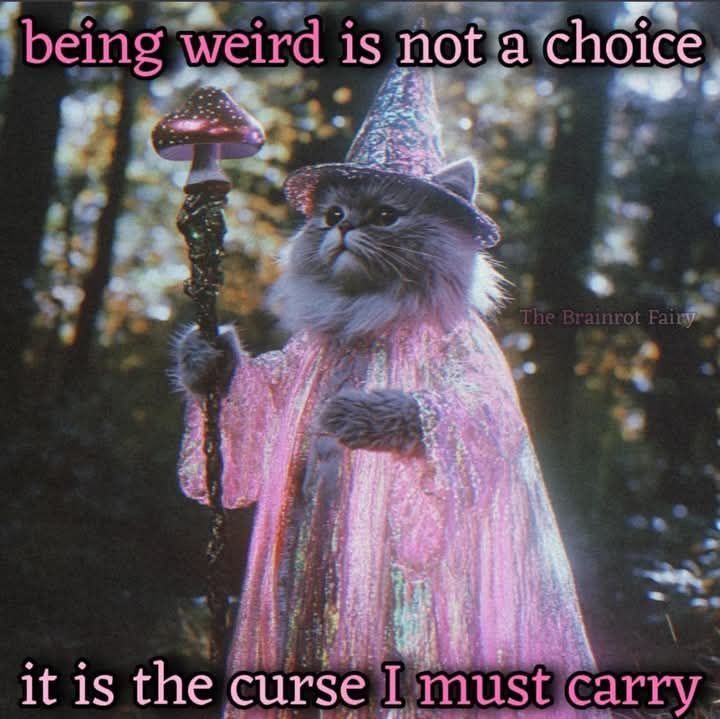 Zen masters (@zenm001) on Twitter photo 