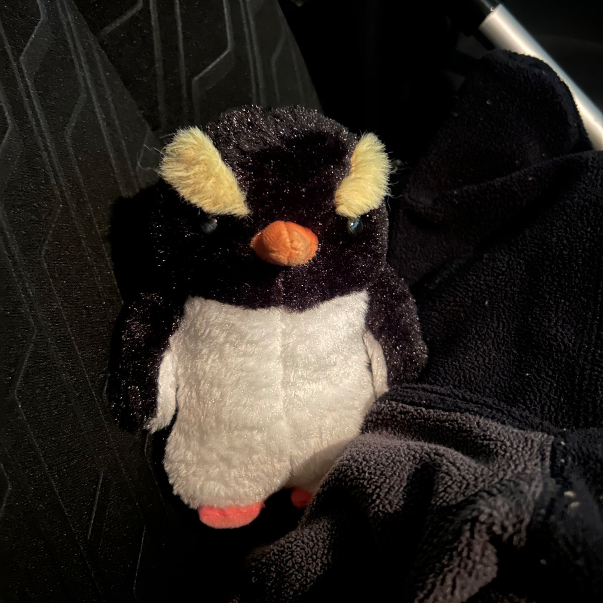 penguinsagashi's tweet photo. 【拡散希望】
12/24(水)23:00頃
苗穂イオンの立体駐車場以降行方がわかりません。
翌日問い合わせましたが届いておらず、駐車場に落ちていたのを誰かが拾ってしまった可能性があるとのことです。
持ち去ってしまった方は、サービスカウンターにお届けしてほしいです。
#落とし物 #ぬいぐるみ https://t.co/DawTt1khKV