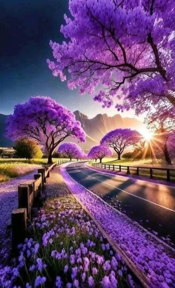 Have a nice evening 🎄🙋