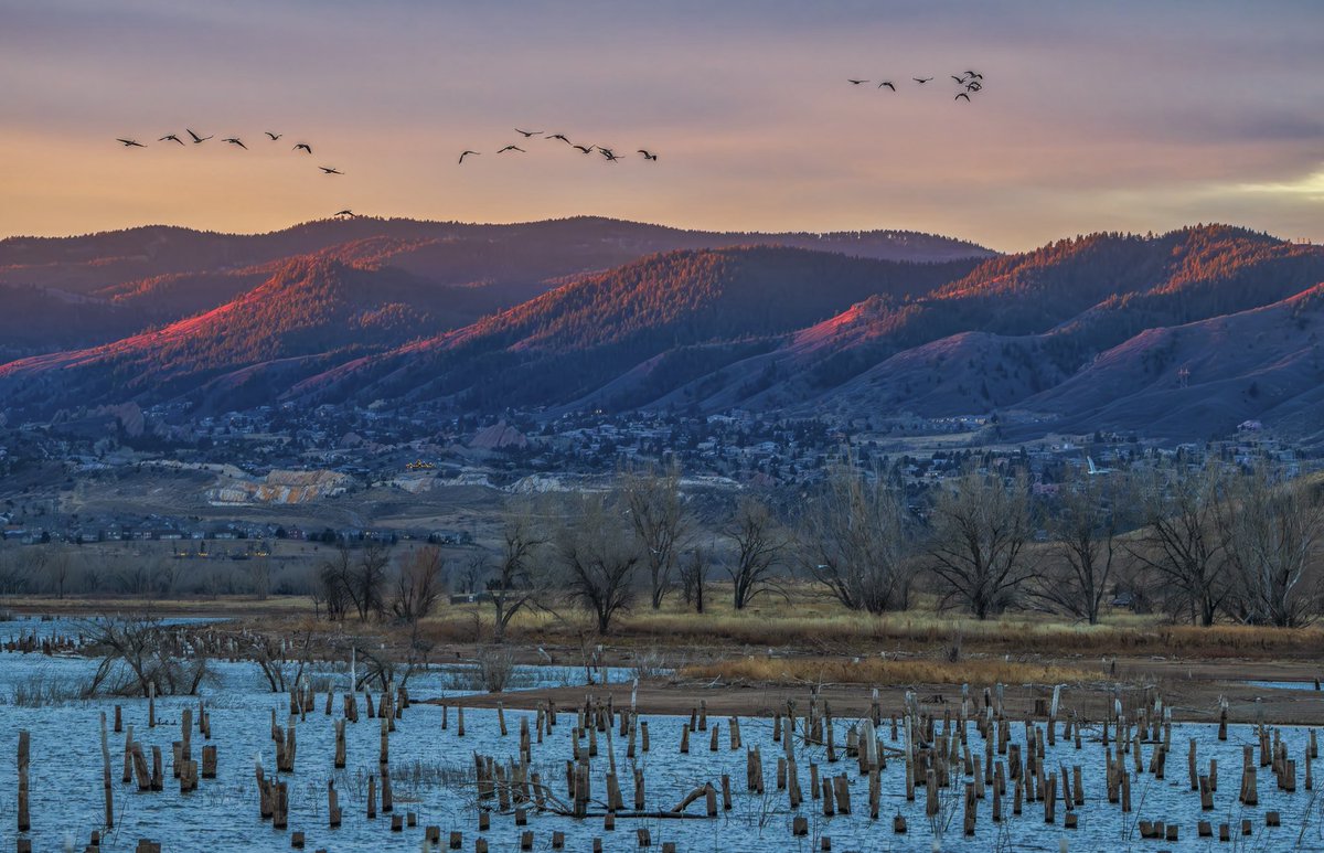 A scene from an early Christmas morning visit to Chatfield State Park. #Colorado #Christmas2025 #COwx #photography