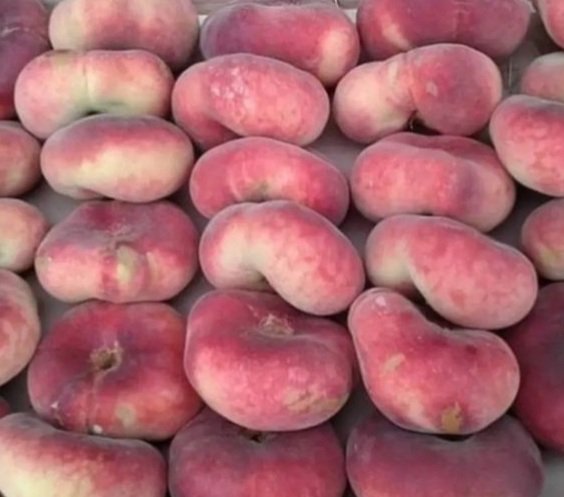 فال خير tweet media