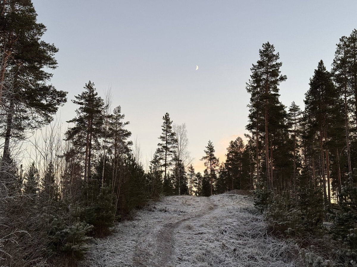 Joakim 🌹🇳🇴🇪🇺 tweet media