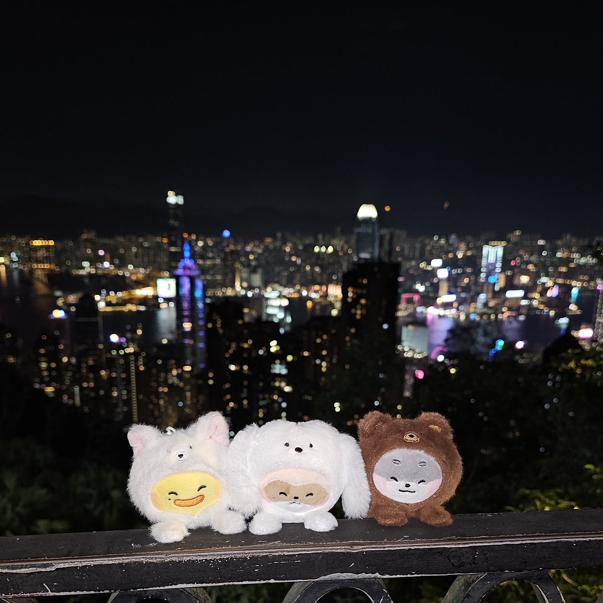 따끈따끈 tweet media