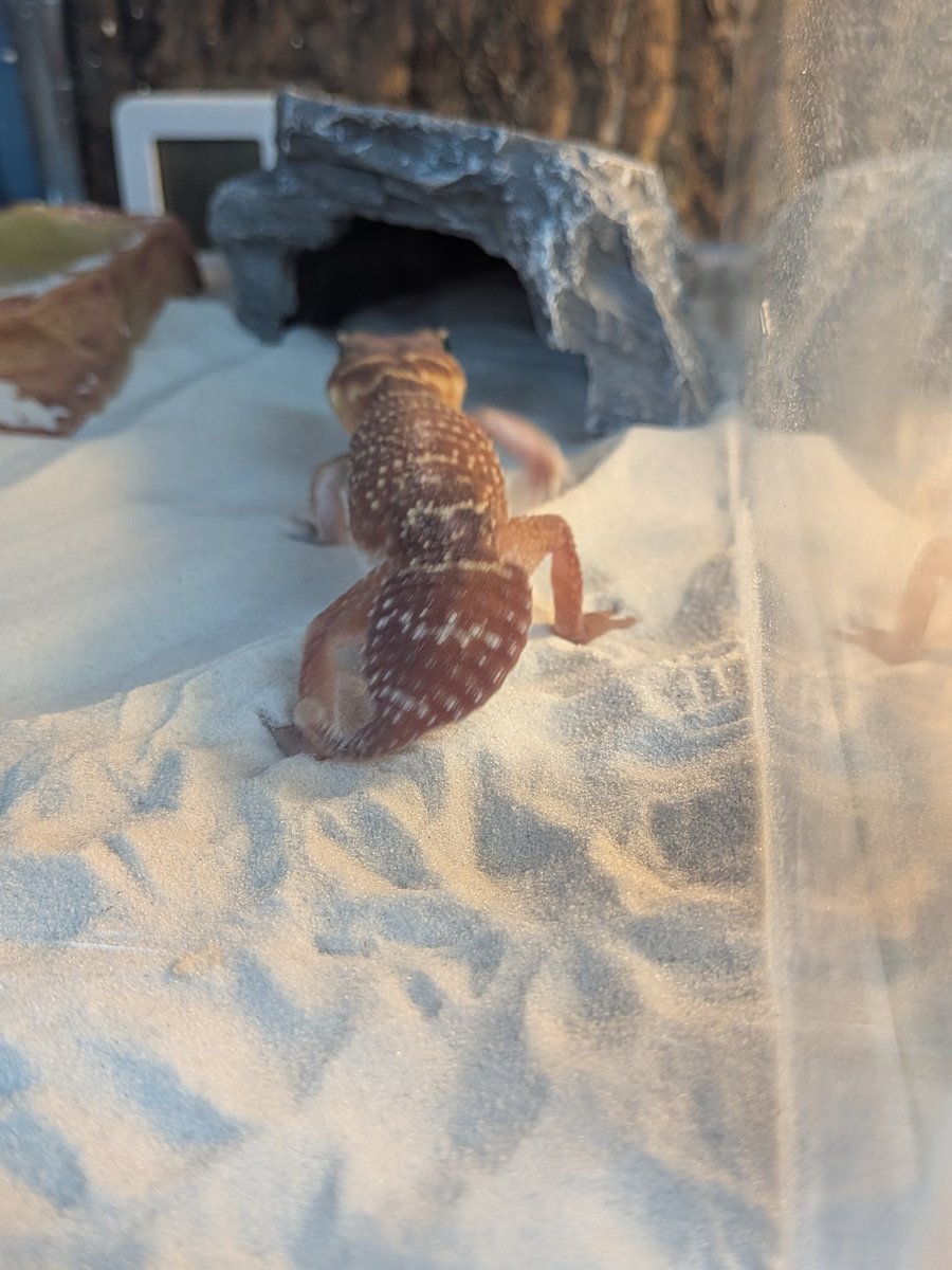 寝てた
そして
直ぐ帰った