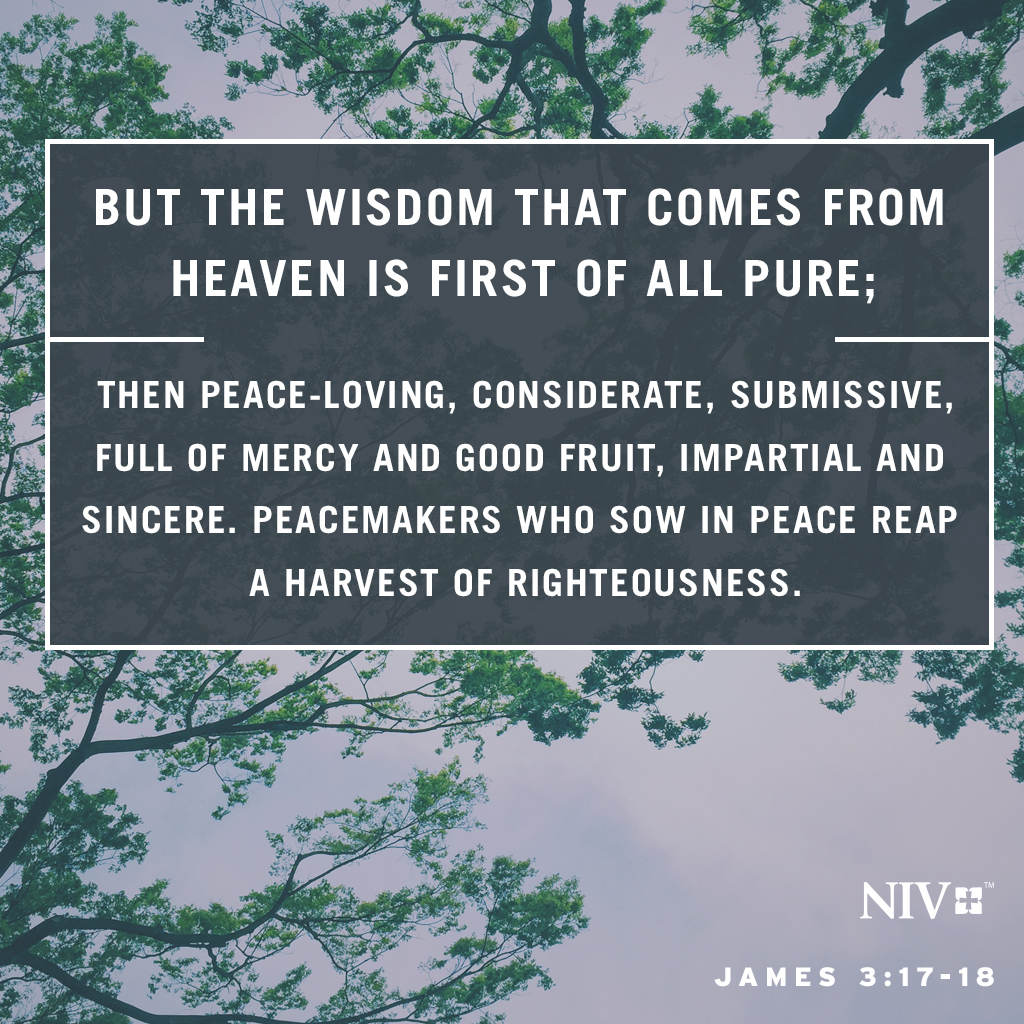 But the wisdom that comes from heaven is first of all pure; then peace-loving, considerate, submissive, full of mercy and good fruit, impartial and sincere. Peacemakers who sow in peace reap a harvest of righteousness. James 3:17-18 #niv #nivbible #verseoftheday #votd