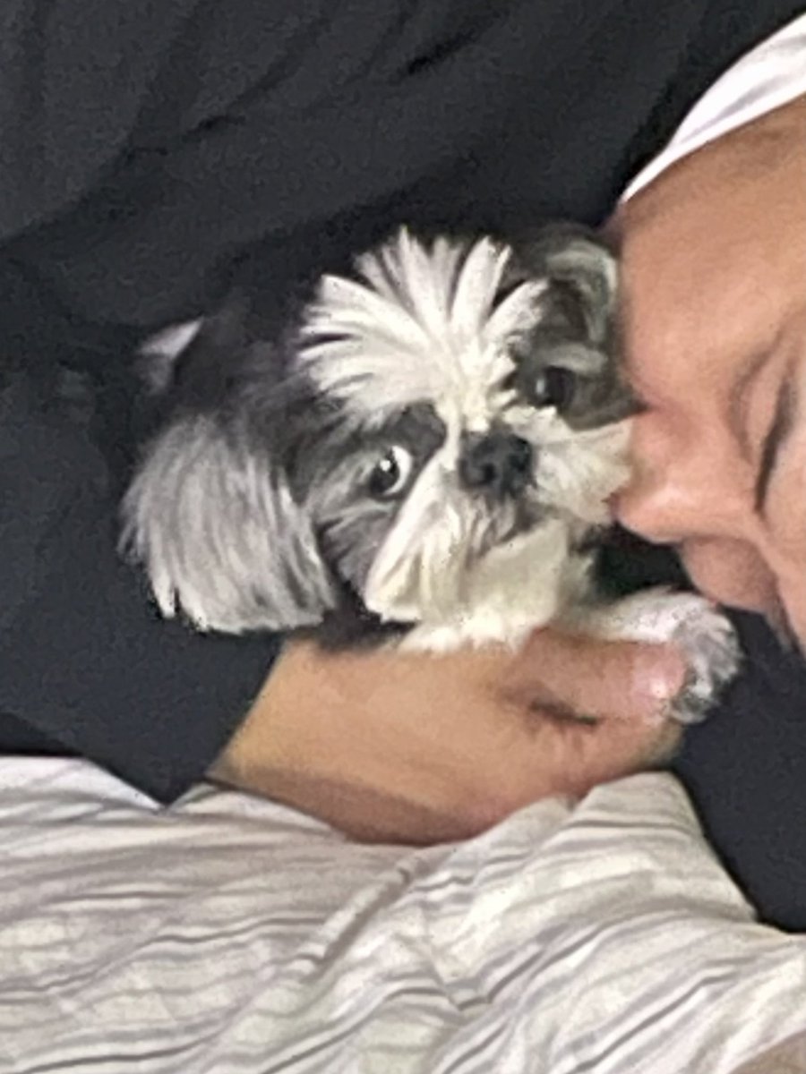 얘 좀 어떻게 하라고 흰자 많이 보이는 깨죽시