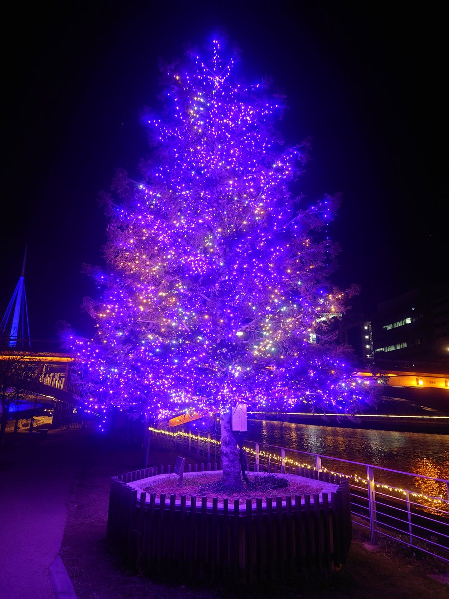 agtk0112's tweet photo. ここの🎄はまだ残ってた https://t.co/cNMPN95xBg