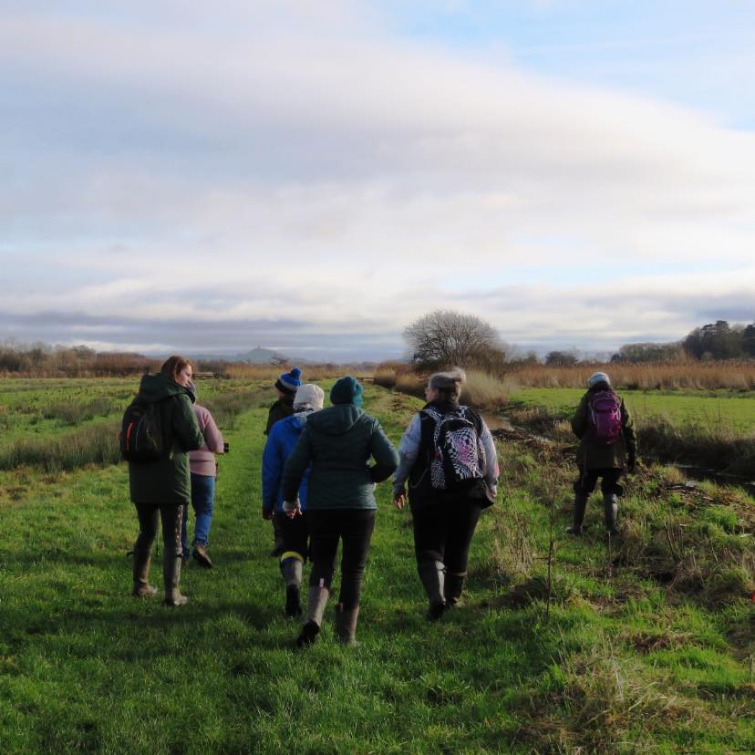 Hawkandowluk's tweet photo. Join our Well Woman Walk on Dec 29 at 10am, Shapwick Moor! Enjoy nature, hot drinks, and cakes! #WellWomanWalk #NatureTime #MorningMeander #MindfulMoments
Book your spot at the Hawk and Owl Trust website https://t.co/8nqI9G4HL7. Sign up now! https://t.co/wxAgi8RdPf