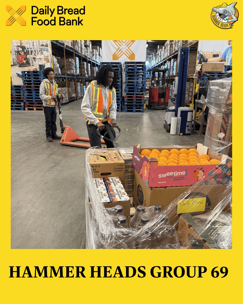 Hammer Heads tweet media