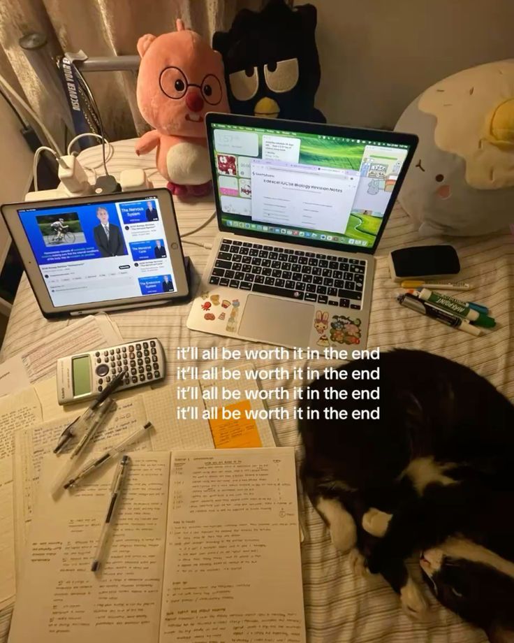 femmenotes tweet media