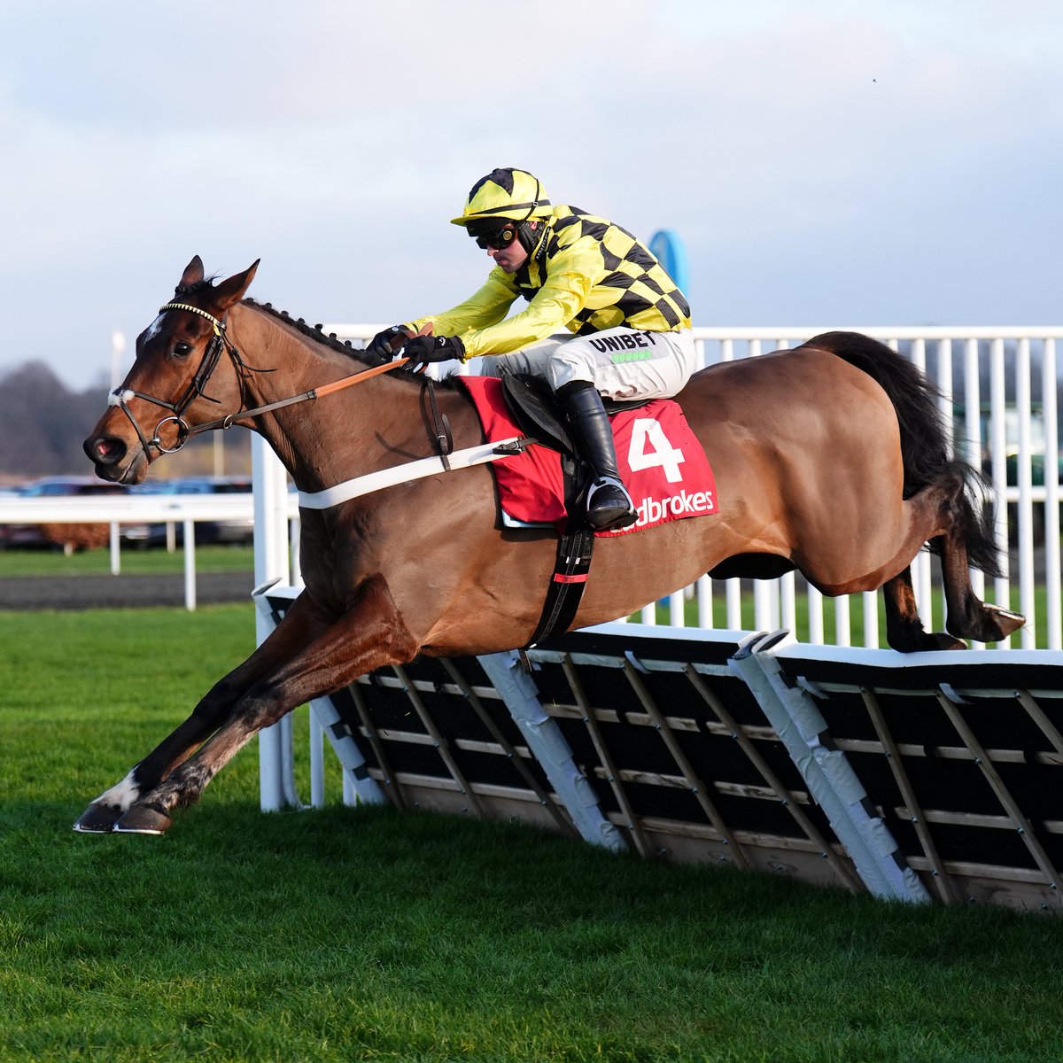 1/111/11-1

Welcome back, Sir Gino 🤩