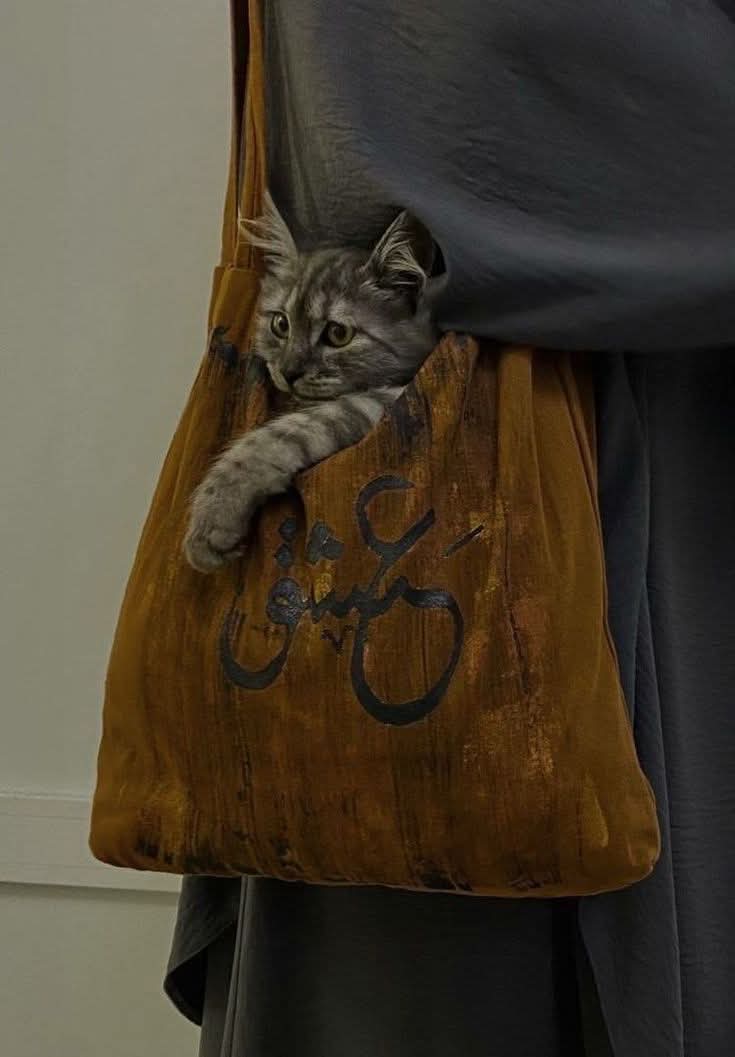 ma7mod09's tweet image. فاقِدُ الشَّيء هُو أحَنُّ مَن يُعطيه ..
• يأتي السَّند مِن أولئِك الذينَ خَانتهُم أيَادي أحبَابهُم حين سقطوا
• يأتي الجَبر من القلُوب التي كُسرت ألف مرّة ولملمَت شتاتها و ضمّدت جروحها بنفسِها ..