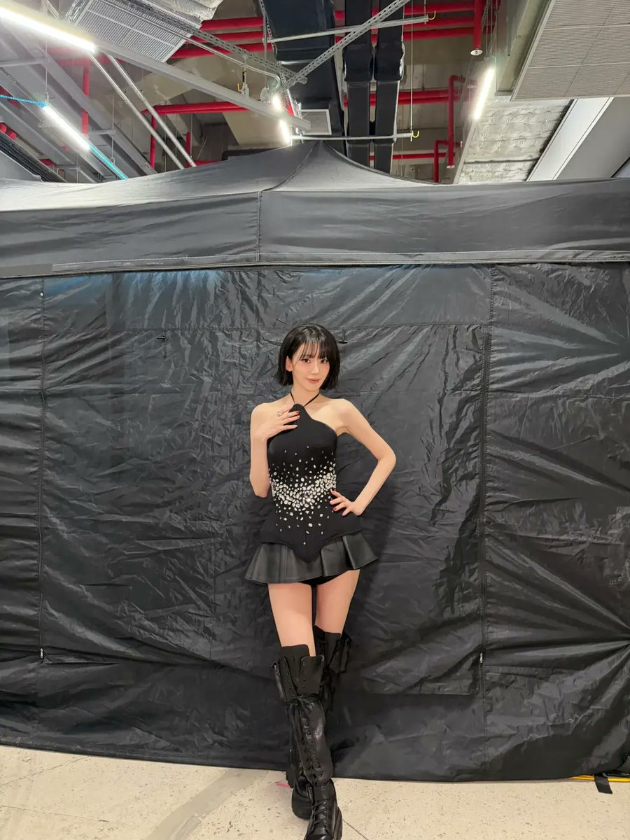 ⭐さくらオーダー品♥️椅子＆留具BOX⭐わんにゃん柄♥️--150・151 Amazon.co.jp: ピッコラドレッサーシリーズ カードキャプターさくら