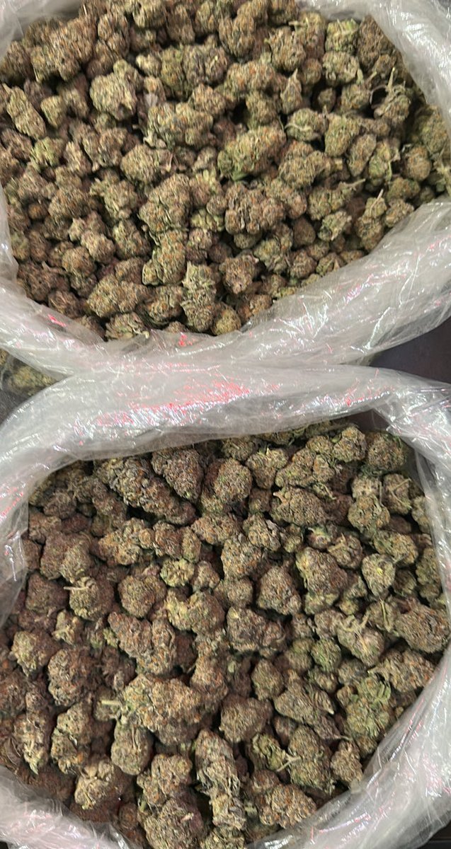 Slim5️⃣ tweet media