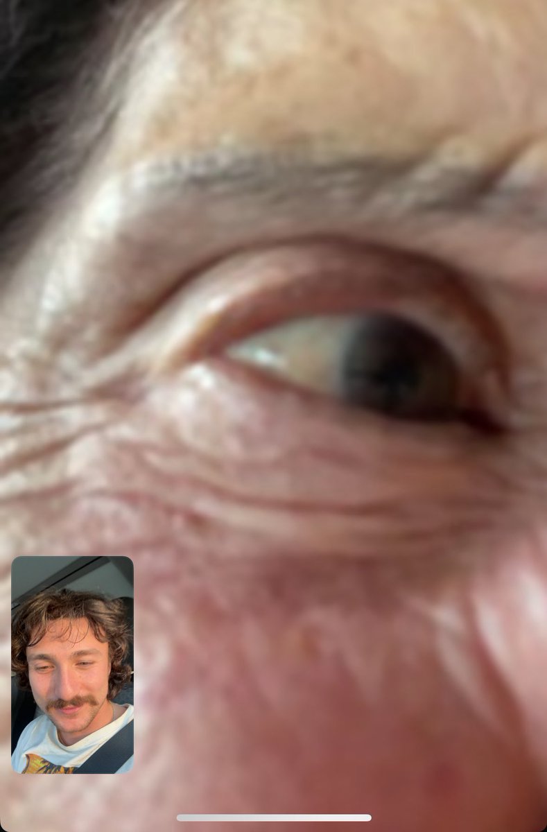 פוב פייסטיים עם סבתא