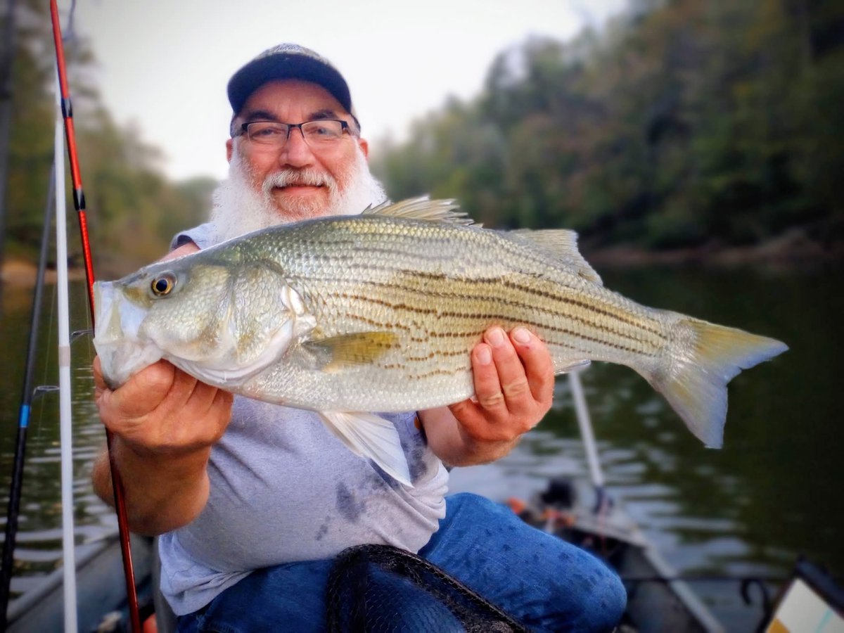 Dreaming of better weather