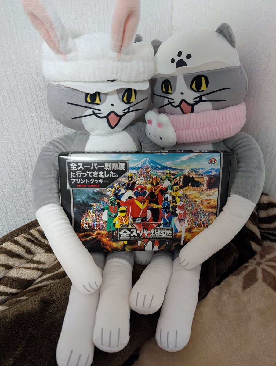 事務猫姉さん tweet media