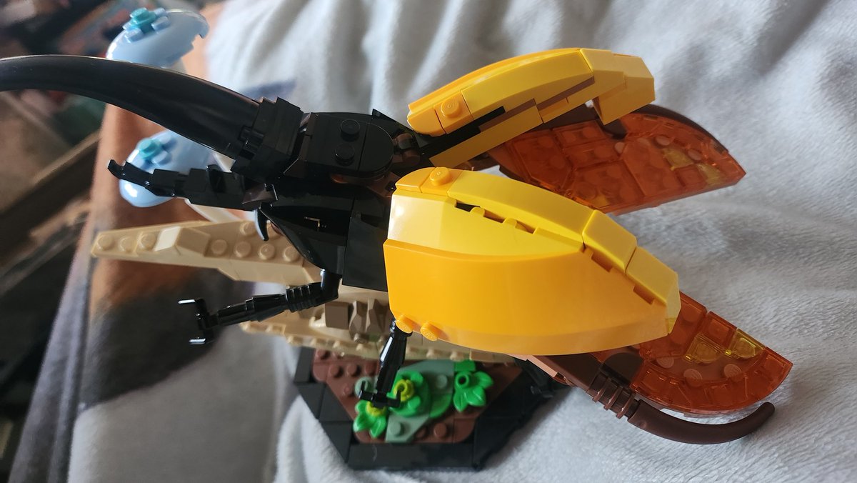 Rhiaismia tweet media