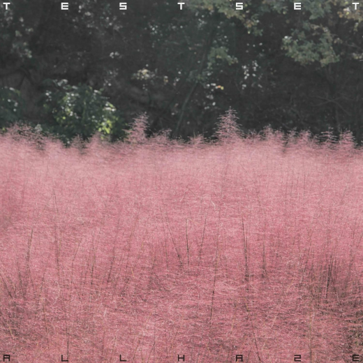 terabbit（テラビット） tweet media