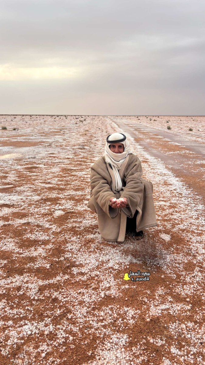 سعود السهلي⚡️ tweet media