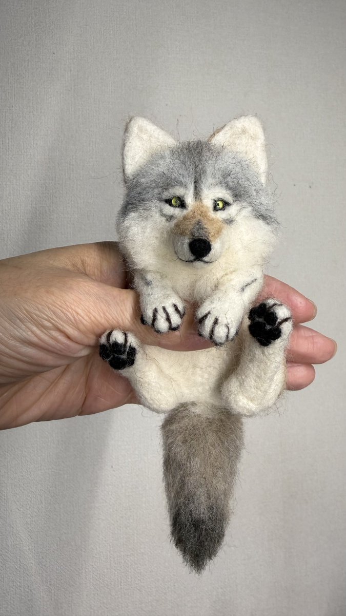 羊毛フェルト ポケットブローチのチュウゴクオオカミ誕生 ポケットから