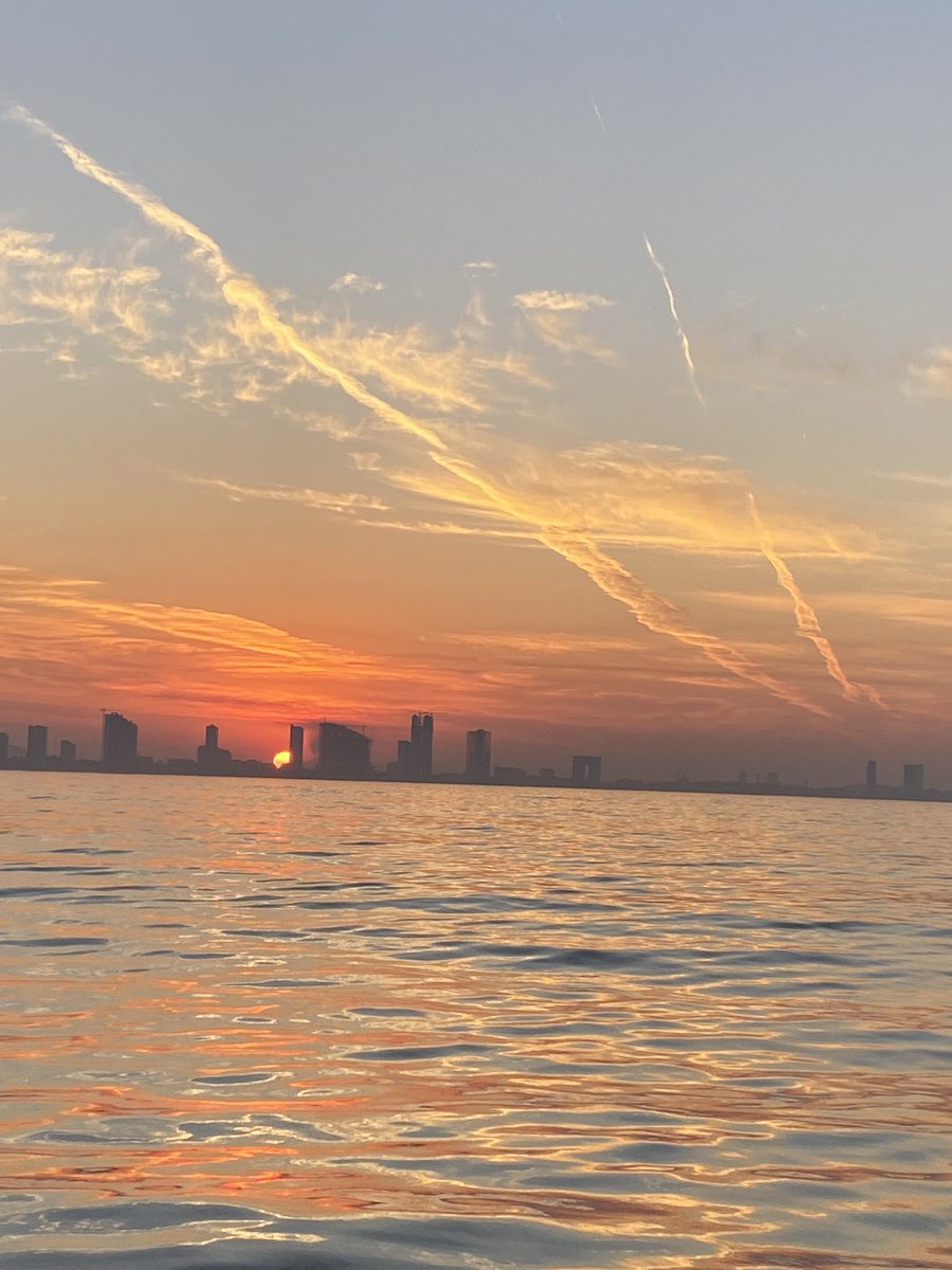 Sailing Company tweet media