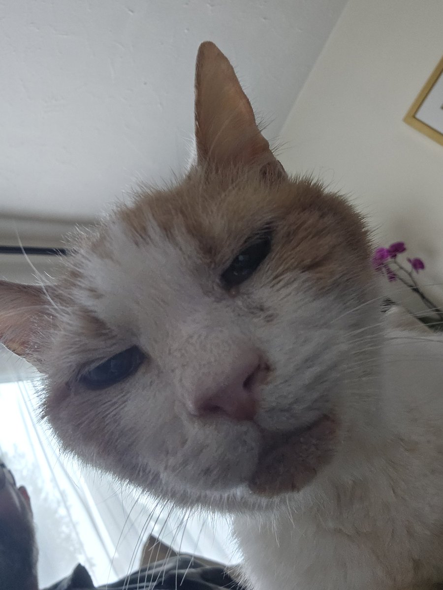 The old boy is still hanging on.