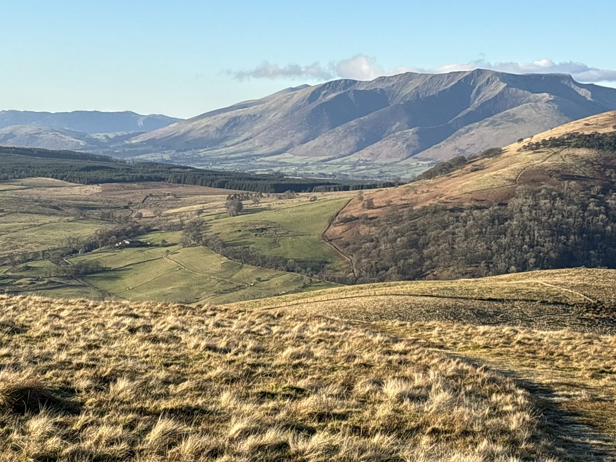herdyshepherd1's tweet image. Our farmstead is down there… mid screen among the trees 

This photo gives a good idea of how hard the country is…