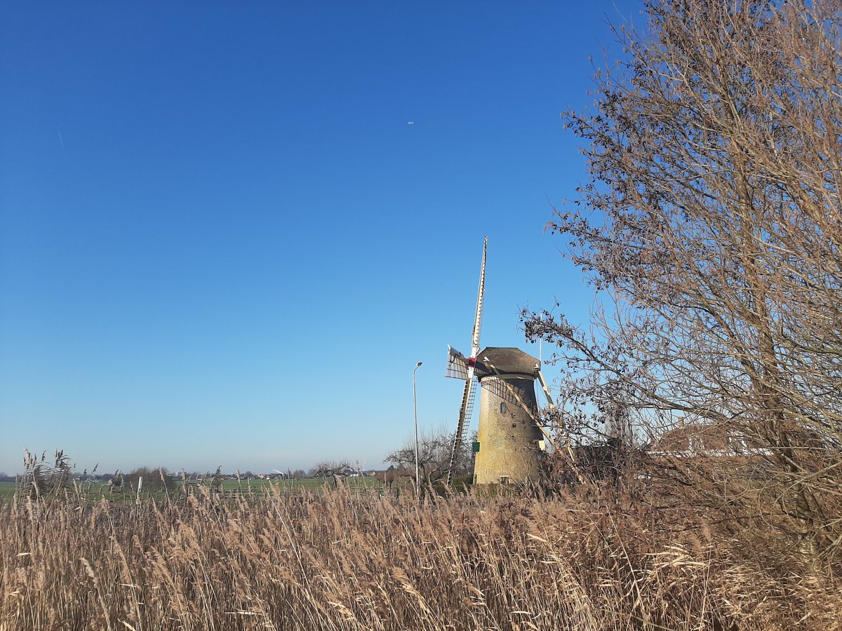 MEKloppenburg's tweet photo. #Winterwandeling bij #Maasland. Nog een fijne tweede #Kerstdag! 🎄 https://t.co/NCM9c8QE47
