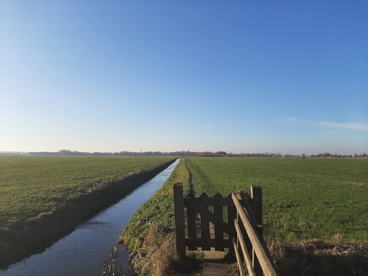 MEKloppenburg's tweet photo. #Winterwandeling bij #Maasland. Nog een fijne tweede #Kerstdag! 🎄 https://t.co/NCM9c8QE47