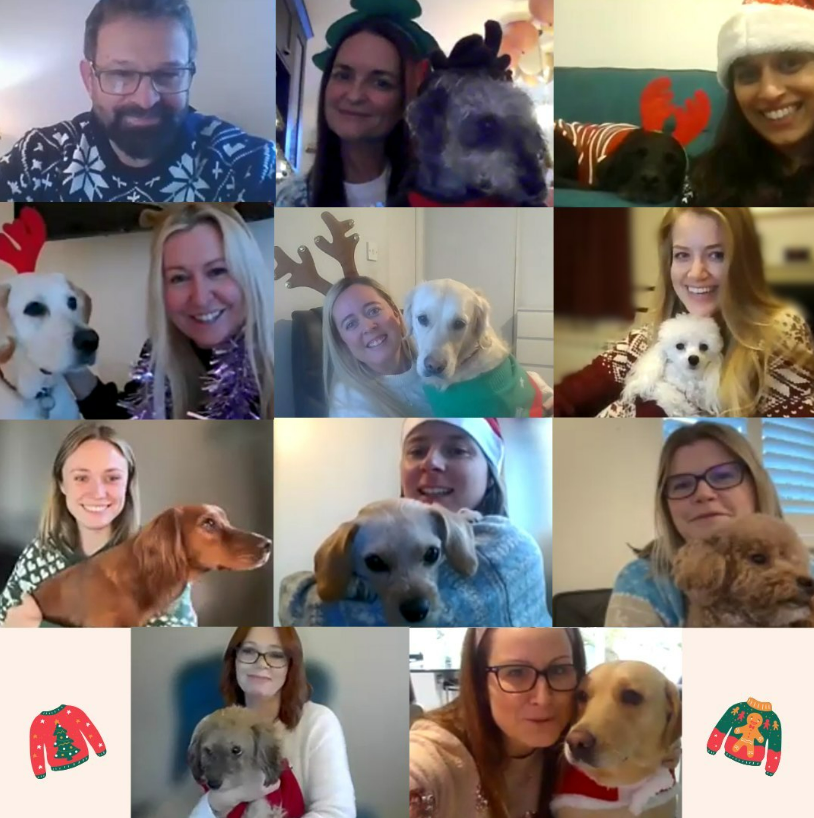 The Live In Care Company tweet media