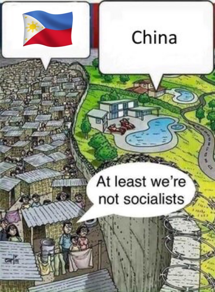 ⭐ 𝙿𝚊𝚖𝚙𝚑𝚕𝚎𝚝𝚜 ⭐ tweet media