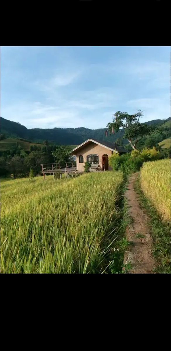 phe_don's tweet image. 