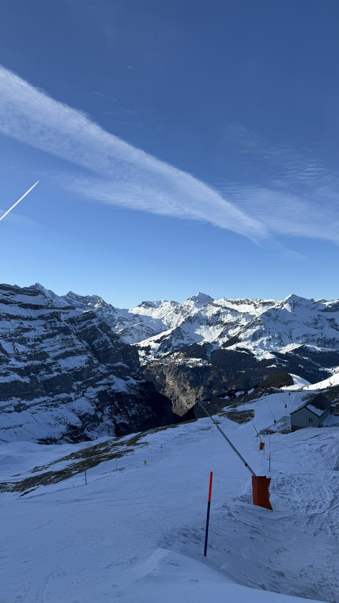 Hailey Low tweet media