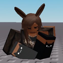hey guys look at my bunnay
#roblox