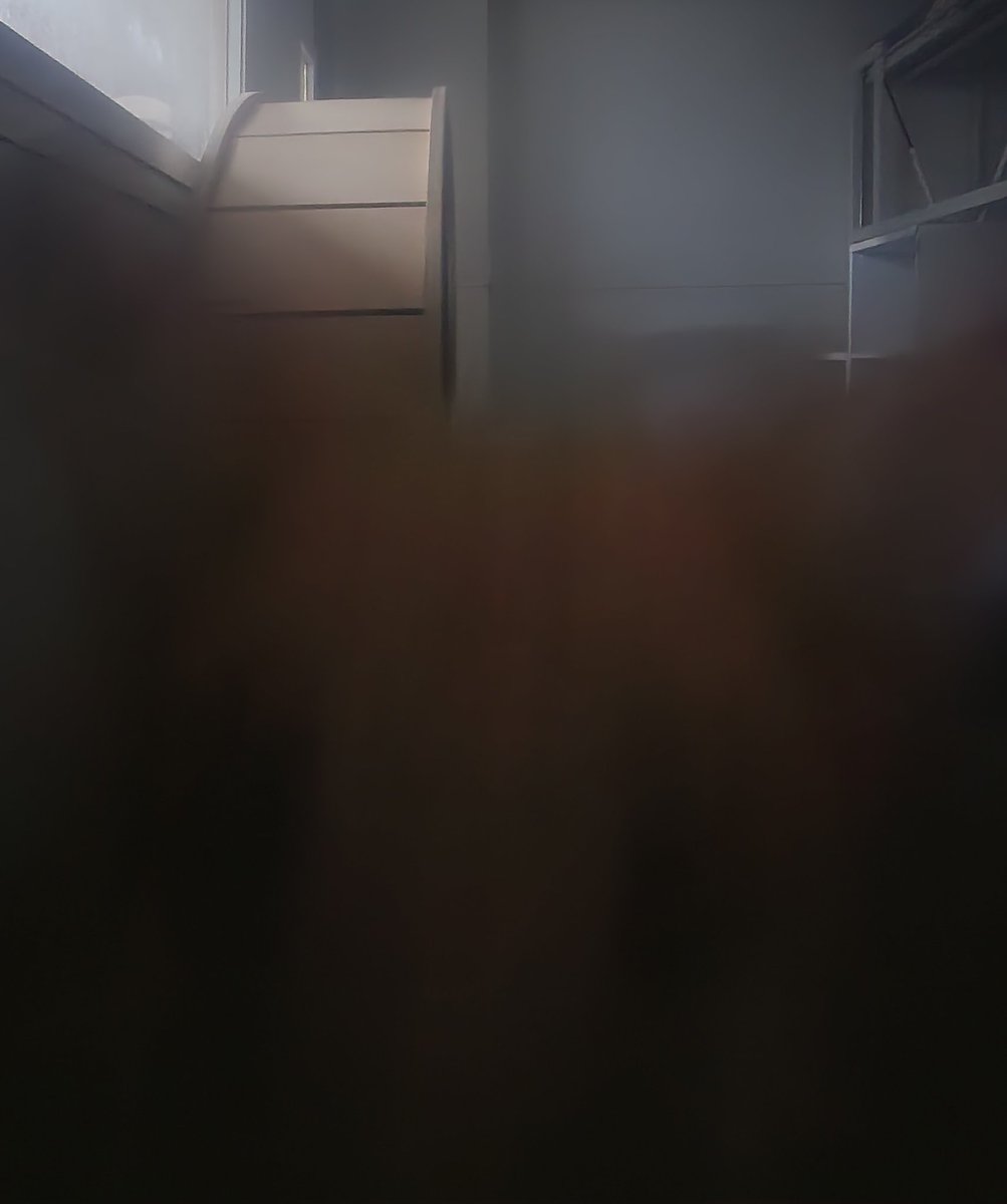 비상
집에 나랑 설이밖에 엄슴
얘 어디있나 보는데 튀어나옴 끼야악
오늘밤은...쉽지 않겠군...