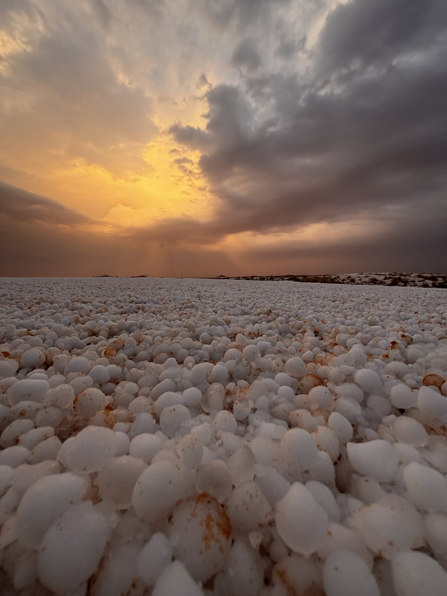 🇸🇦 سعود بن عبدالله 🇧🇭 tweet media