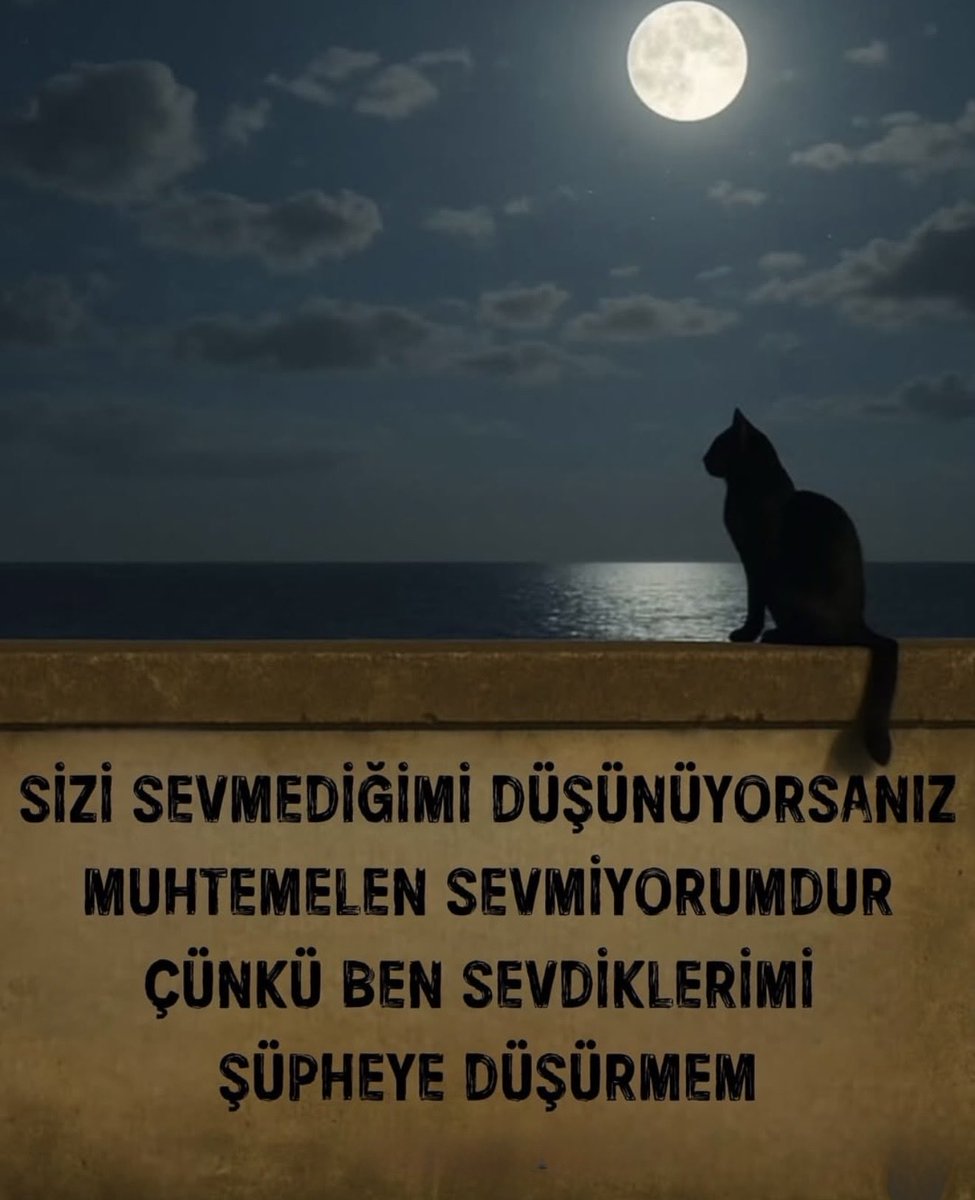 SİZİ SEVMEDİĞİMİ DÜŞÜNÜYORSANIZ
MUHTEMELEN SEVMİYORUMDUR
ÇÜNKÜ BEN SEVDİKLERİMİ
ŞÜPHEYE DÜŞÜRMEM….