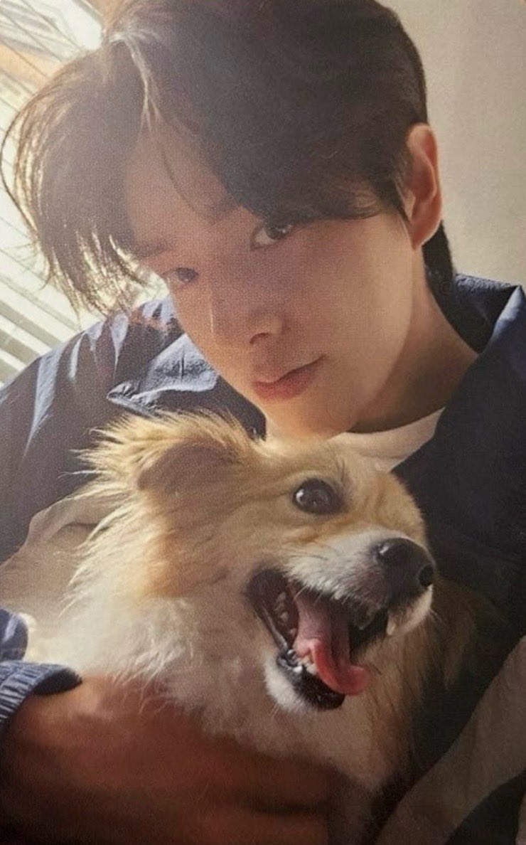 앙케이트 포카 귀엽다🐕🐕