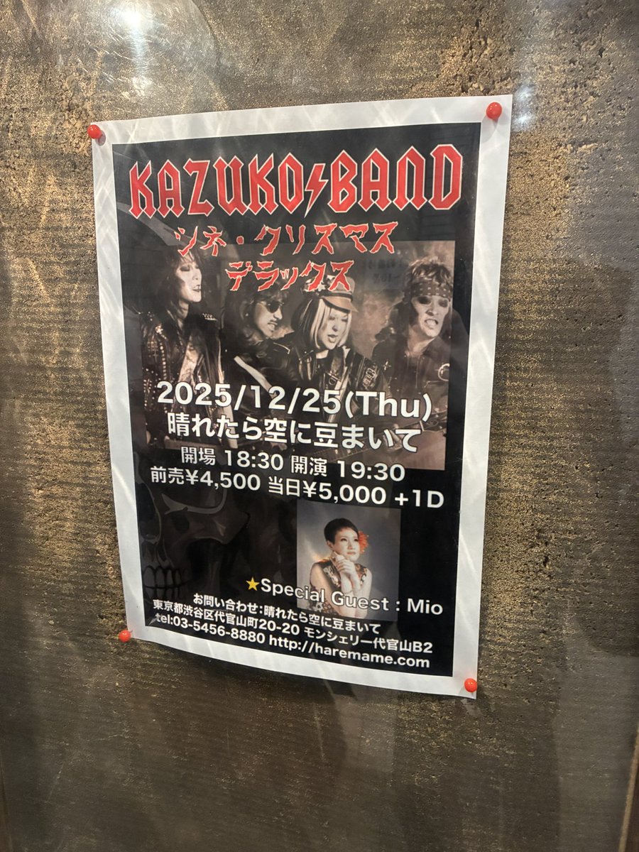 tequila_prince's tweet photo. 冬の推し活 第三弾
KAZUKO BAND
シネ・クリスマス
in 晴れ豆代官山
プロ集団による演奏とクリスマスソング
解除の雰囲気を出すためにあえての後ろに行っての撮影
1日遅れのメリークリスマス🎄
#KAZUKOBAND
#カズコバンド https://t.co/UBf9QHx9UA