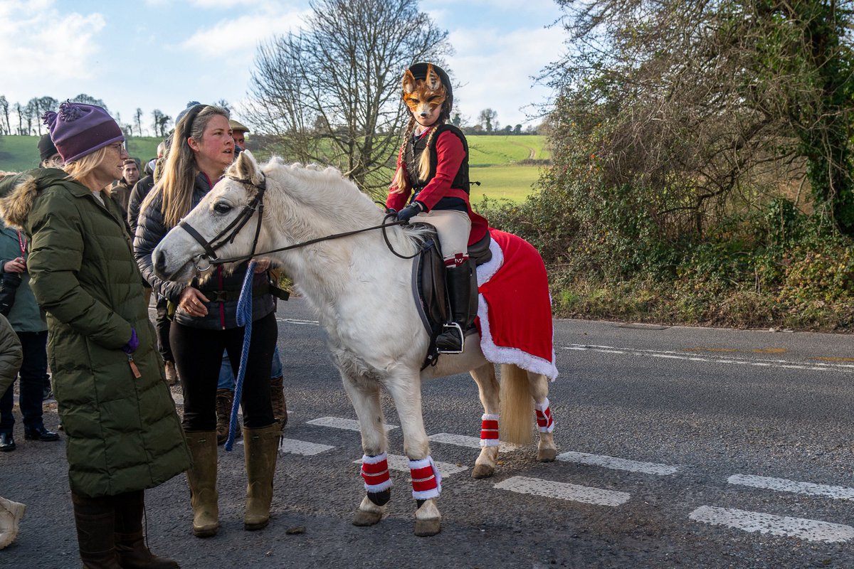 The Stoic Terrierman tweet media