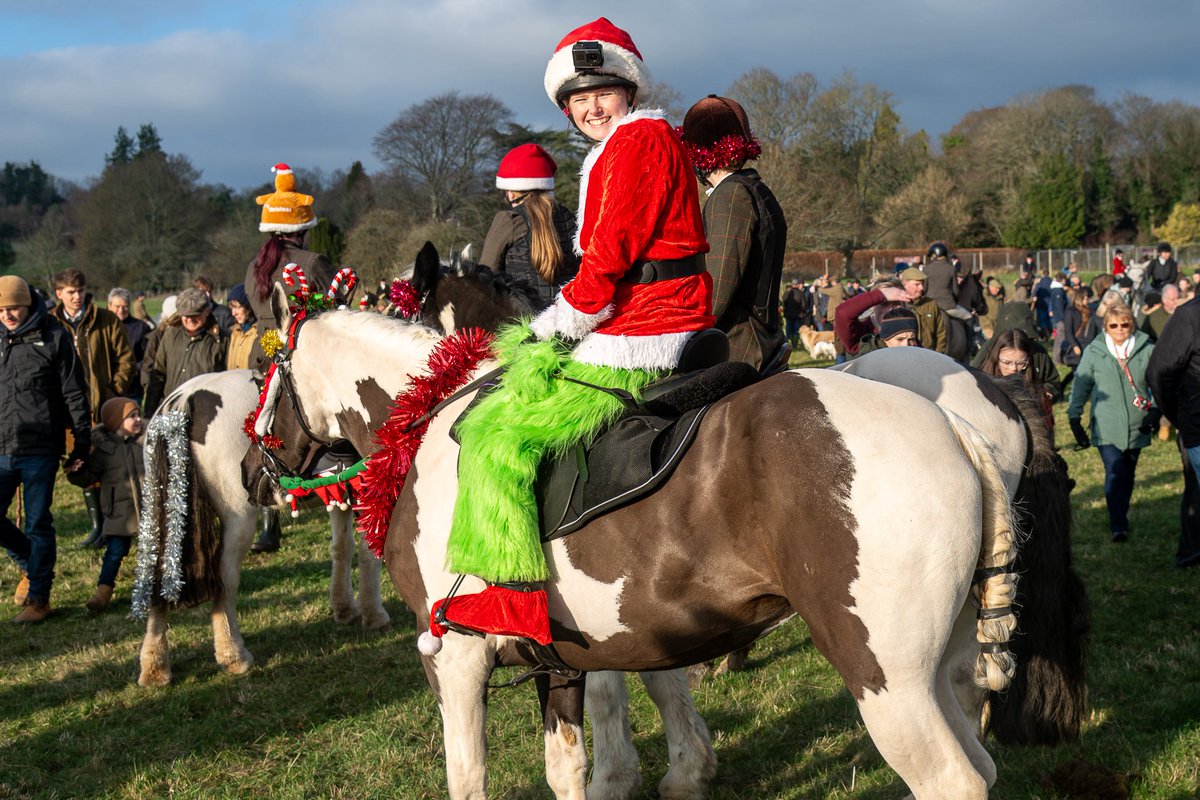 The Stoic Terrierman tweet media