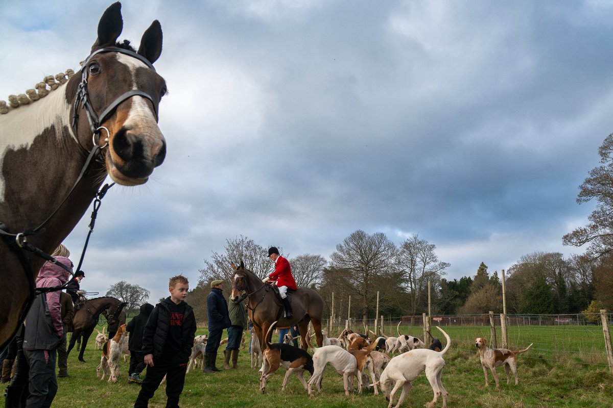 The Stoic Terrierman tweet media