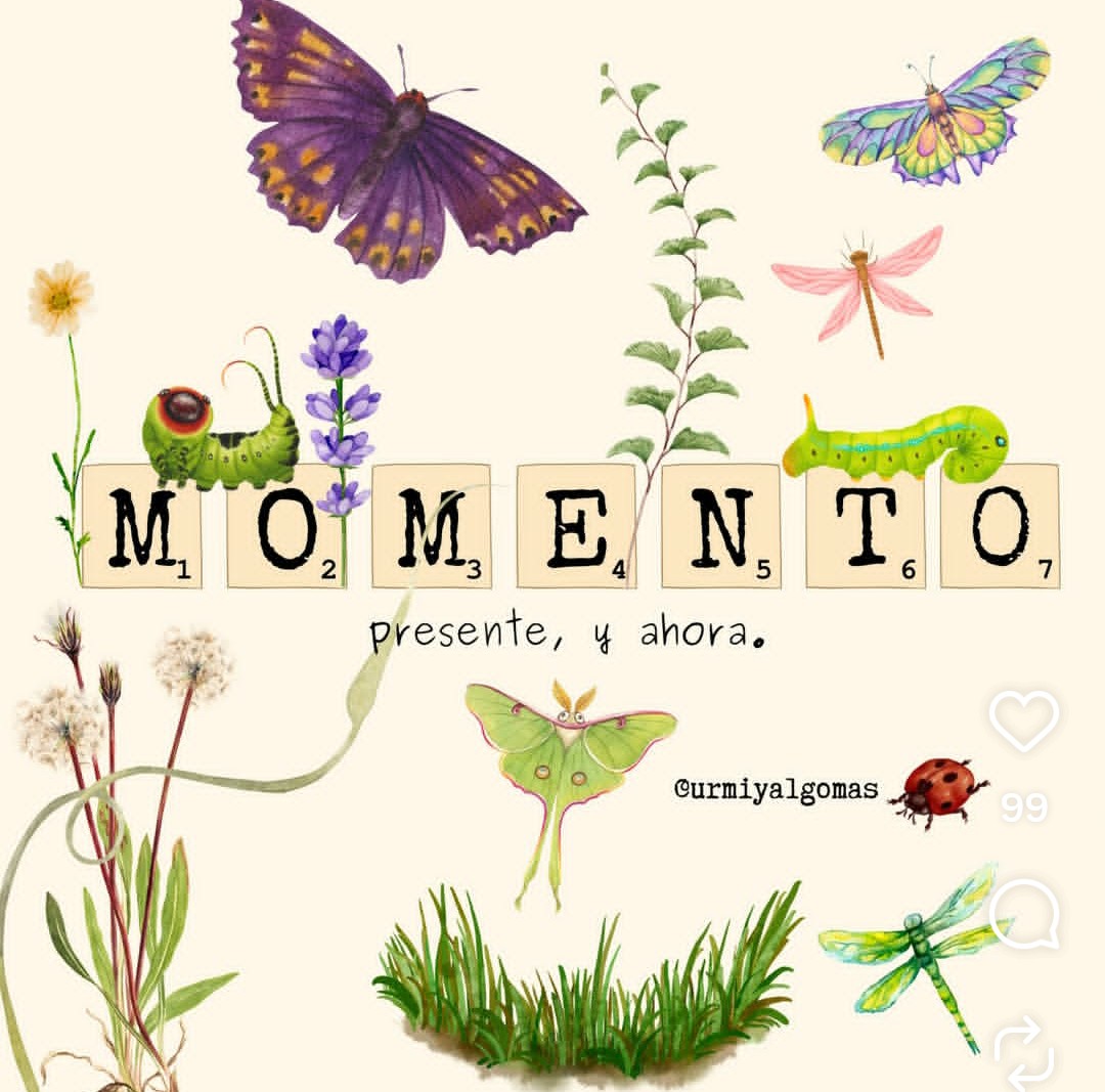 Edilia Mac Gregor tweet media