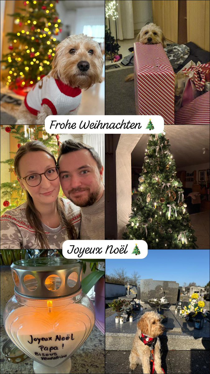 Dieses Jahr ist wieder etwas anders, einer weniger, Gedanken &amp; Erinnerungen ❤️‍🩹 Es ist anders, es geht weiter. Du fehlst. Und doch dankbar für das, was man hat. 🤍Frohe Weihnachten 🎄 Joyeux Noël 💫