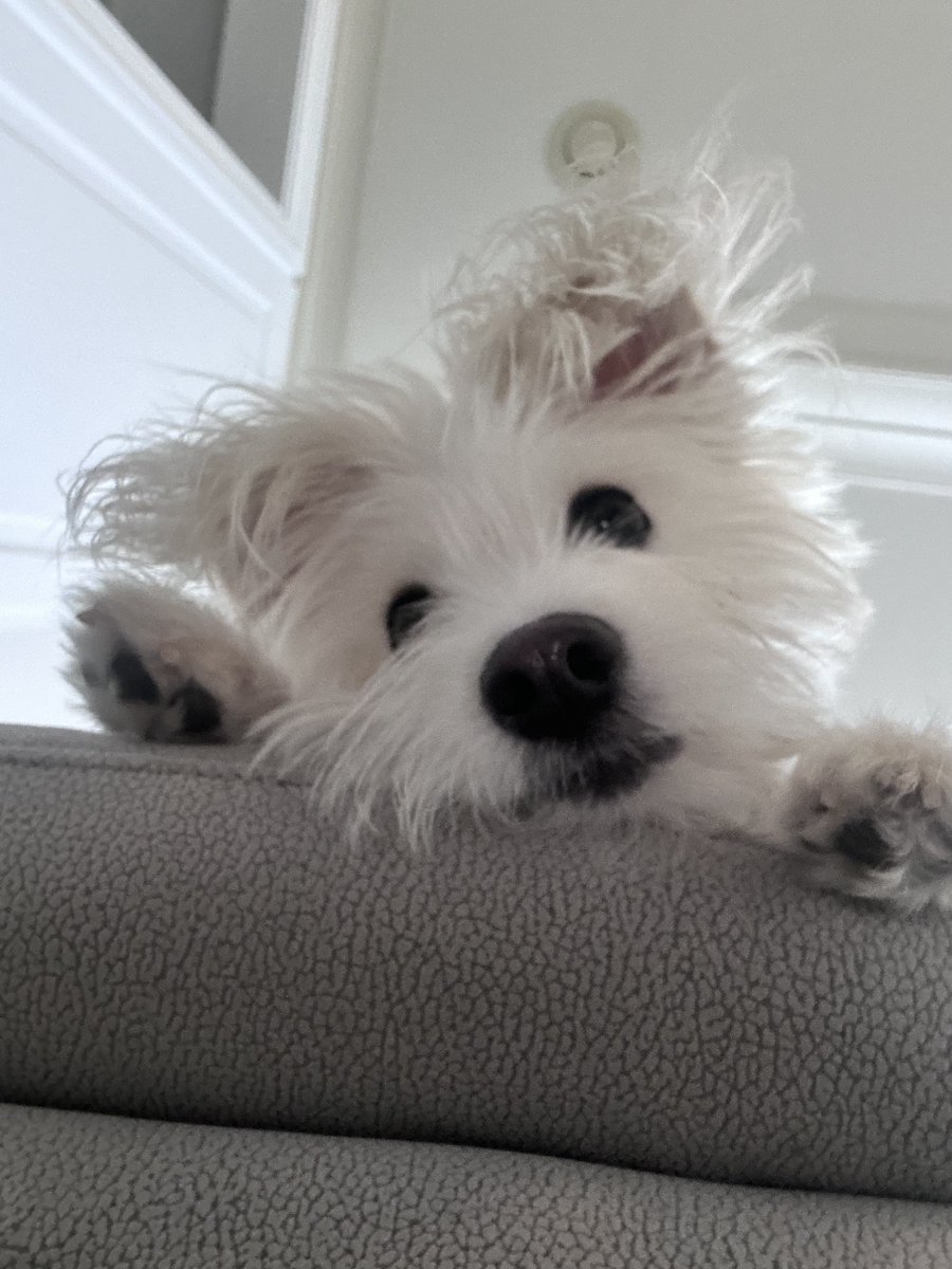 millionbolt's tweet image. 찰칵소리나서 딱 걸림
ㅠㅠ ㅋㅋㅋㅋㅋㅋㅋㅋㅋㅋ