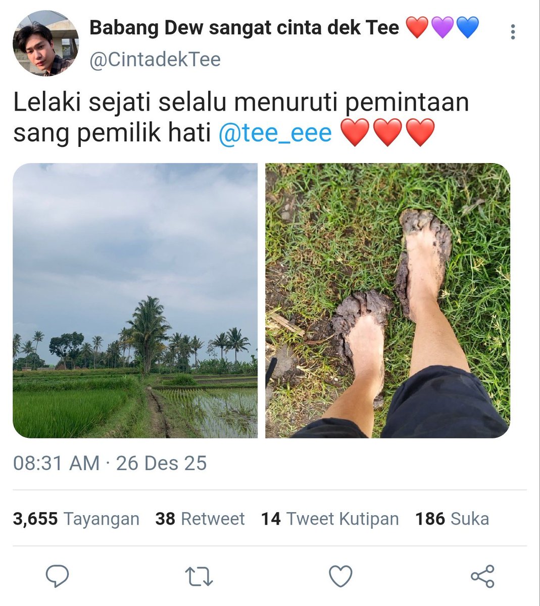 ๐๐๐ญ๐ก๐๐ง. tweet media