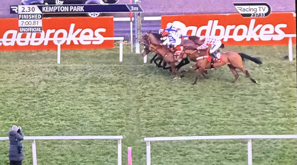 THAT. WAS. JUMPS RACING.