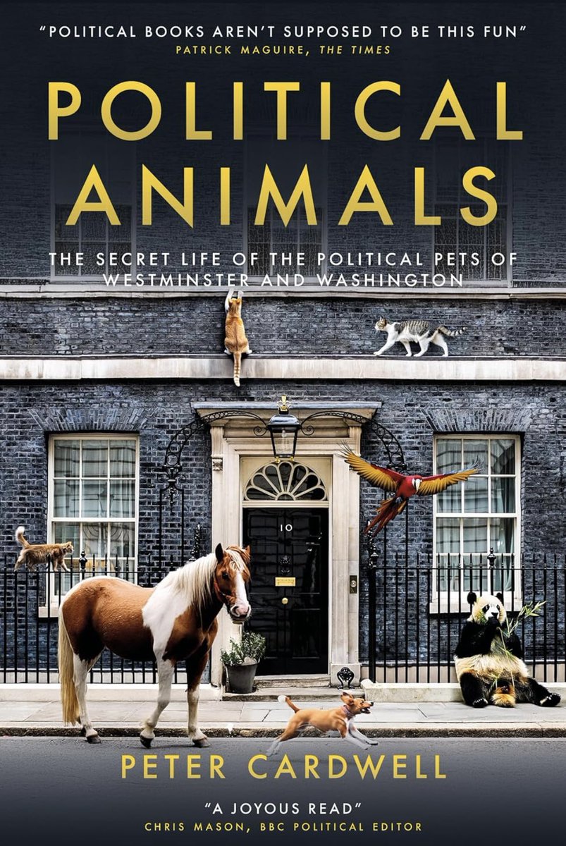 Peter Cardwell tweet media