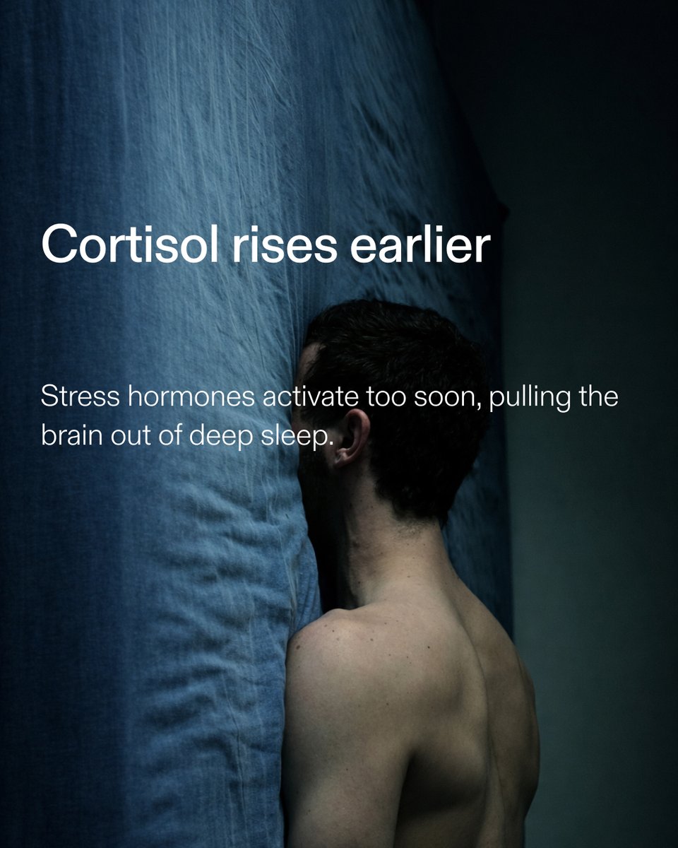 Dreamspan tweet media